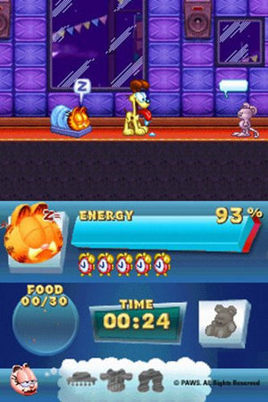 Garfield's FunFestNintendo DS