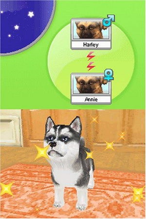 Petz Dogz Pack - Nintendo DS