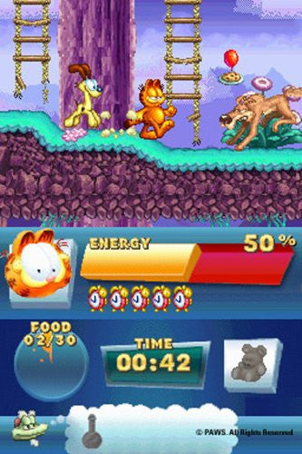 Garfield's FunFestNintendo DS